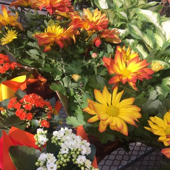 Pemberton Farms - Nurseries & Gardening Near Me - Cambridge, Massachusetts