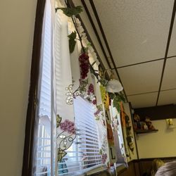 Mecos Cucina - Window