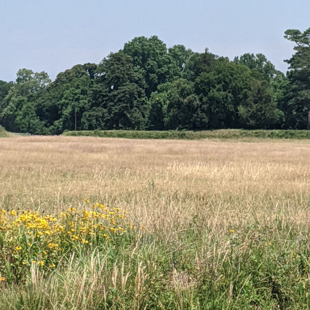 Yorktown Battlefield - Landmarks & Historical Buildings Near Me - Yorktown, Virginia Yorktown Battlefield - Landmarks & Historical Buildings Near Me - Yorktown, Virginia
