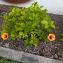 Photo of Green Smart Lawn & Pest