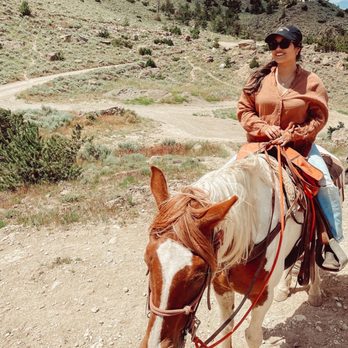 Cedar Mountain Trail Rides - Horseback Riding Near Me - Cody, Wyoming