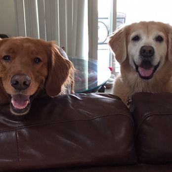 Mr Pet - Pet Groomers Near Me - Fountain Valley, California