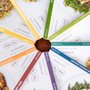 Photo of Profile Plan Nutrition + Wellness