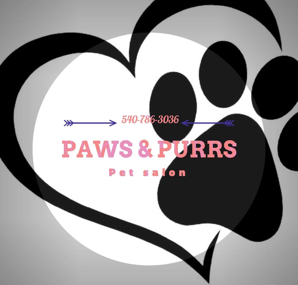 PAWS AND PURRS PET SALON Updated May 2024 13 Photos 6314 5 Mile