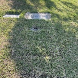 Body of the ground after leveling