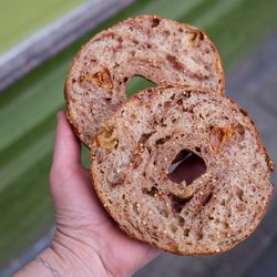 Tabor Bread - Cinnamon Raisin Millet bagel