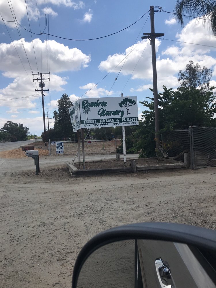 RAMIREZ NURSERY Updated September 2024 12607 Ave 328, Visalia