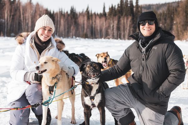 Last Frontier Mushing Co-op by null