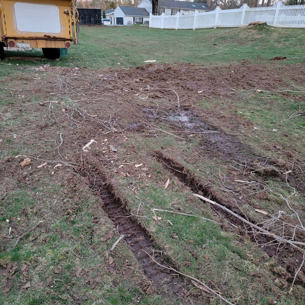 Paradise Landscaping & Tree Removal - Deep tire treads because they drove their machinery onto our lawn while it was raining. And yes, they kept working. In the rain. - Landscaping Near Me - Hamden, Connecticut Paradise Landscaping & Tree Removal - Deep tire treads because they drove their machinery onto our lawn while it was raining. And yes, they kept working. In the rain. - Landscaping Near Me - Hamden, Connecticut