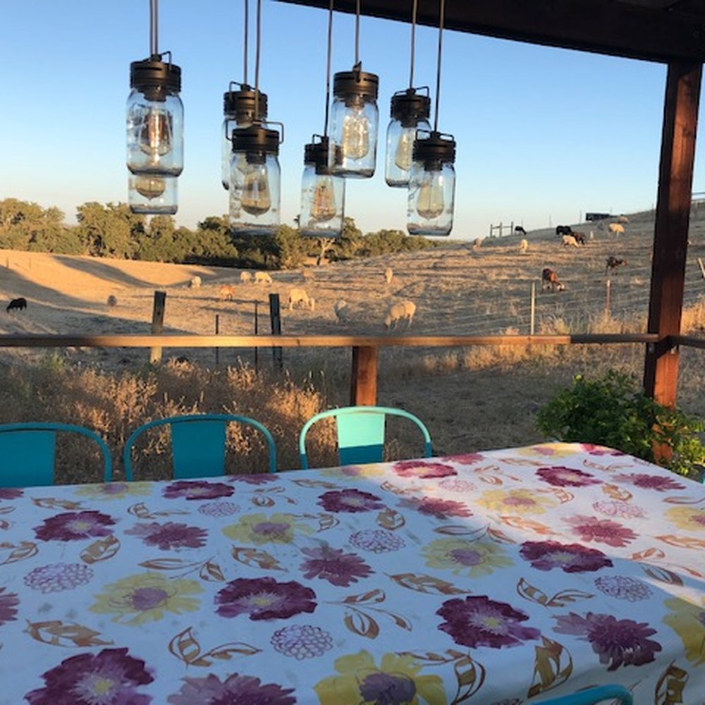 Rêves de Moutons - so peaceful - Bed & Breakfast Near Me - Paso Robles, California Rêves de Moutons - so peaceful - Bed & Breakfast Near Me - Paso Robles, California
