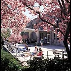 St Joseph's Part time MBA