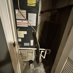 Bavarian Brook Rentals - More white powdery substance