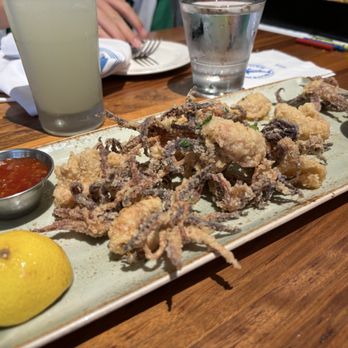Bluewater Grill Seafood Restaurant & Market Carlsbad - Crispy Calamari - Seafood Near Me - Carlsbad, California Bluewater Grill Seafood Restaurant & Market Carlsbad - Crispy Calamari - Seafood Near Me - Carlsbad, California