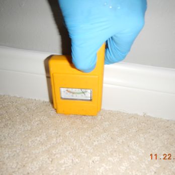 A5 Environmental - moisture meter checking for elevated moisture - Environmental Testing Near Me - Los Angeles, California