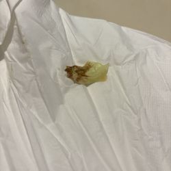 Nasty, brown piece of lettuce in my salad
