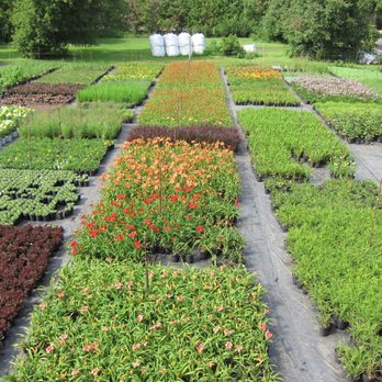 Twin Orchards Nursery - Nurseries & Gardening Near Me - Excelsior, Minnesota Twin Orchards Nursery - Nurseries & Gardening Near Me - Excelsior, Minnesota