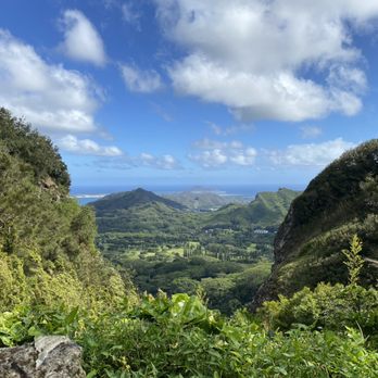 Tropical Hawaiian Tours - Beautiful - Bus Tours Near Me - Honolulu, Hawaii Tropical Hawaiian Tours - Beautiful - Bus Tours Near Me - Honolulu, Hawaii