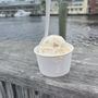 Photo of Mystic Park Ice Cream