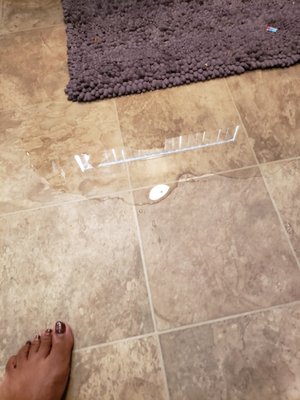 Willow Creek Apartments