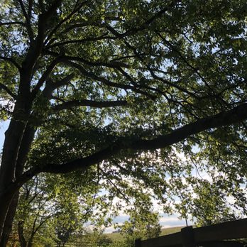 Rady Park - Parks Near Me - Warrenton, Virginia Rady Park - Parks Near Me - Warrenton, Virginia
