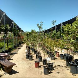 Top 10 Best Furniture Outlet In Antioch Ca Last Updated January Furniture Outlet In Antioch Ca