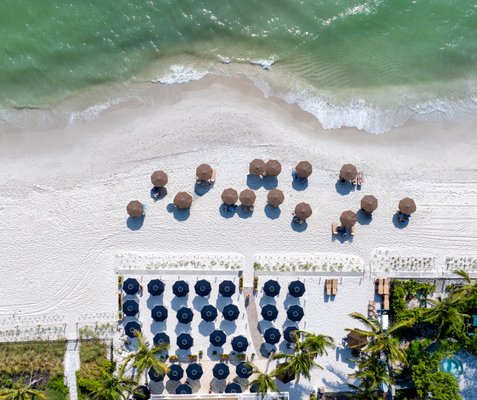 The Turtle Club by null