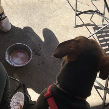 Babs - Outside dog bowl - Breakfast & Brunch Near Me - Atlanta, Georgia Babs - Outside dog bowl - Breakfast & Brunch Near Me - Atlanta, Georgia