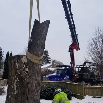 Cutting Edge Tree Professionals - Tree Services Near Me - Pleasant Gap, Pennsylvania