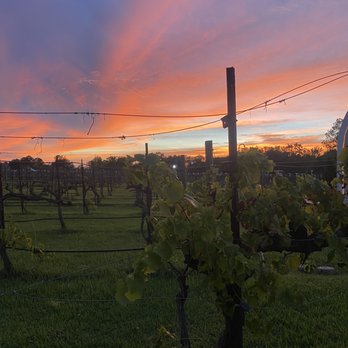 Haak Vineyards & Winery - Wineries Near Me - Santa Fe, Texas Haak Vineyards & Winery - Wineries Near Me - Santa Fe, Texas