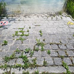Finsinger Weiher - Für die Dummen