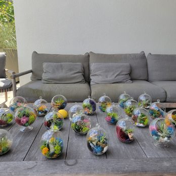 Fun With Plants - After - Team Building Activities Near Me