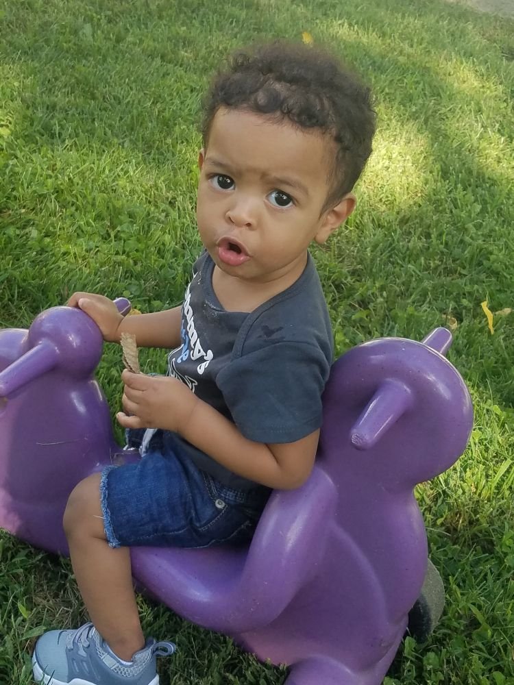 CATERPILLARS TO BUTTERFLIES CHILDCARE with photos Updated August 2024