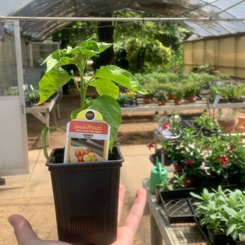 McDades Nursery - Nurseries & Gardening Near Me - Tool, Texas