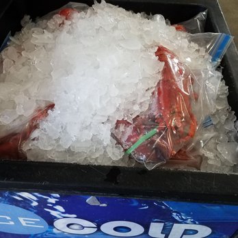 Fisherman's Dock - Jacksonville - Large Lobsters - Seafood Markets Near Me - Jacksonville, Florida