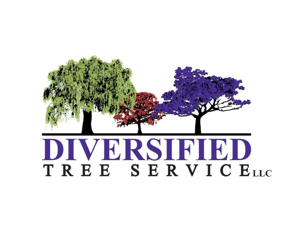 Diversified Tree Service - tree service in Grand Rapids, MI