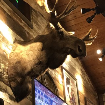 Saltgrass Steak House - Poor moose! Definitely not use to seeing this on a wall, but I guess when in Texas..... - Steakhouses Near Me - Katy, Texas Saltgrass Steak House - Poor moose! Definitely not use to seeing this on a wall, but I guess when in Texas..... - Steakhouses Near Me - Katy, Texas
