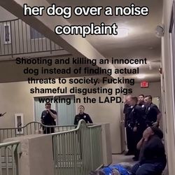 Topanga Station - Canoga Park LAPD killing an innocent dog