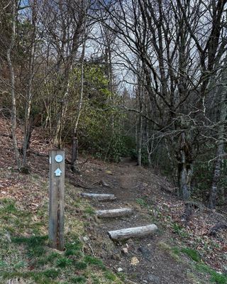 Waterrock Knob by null