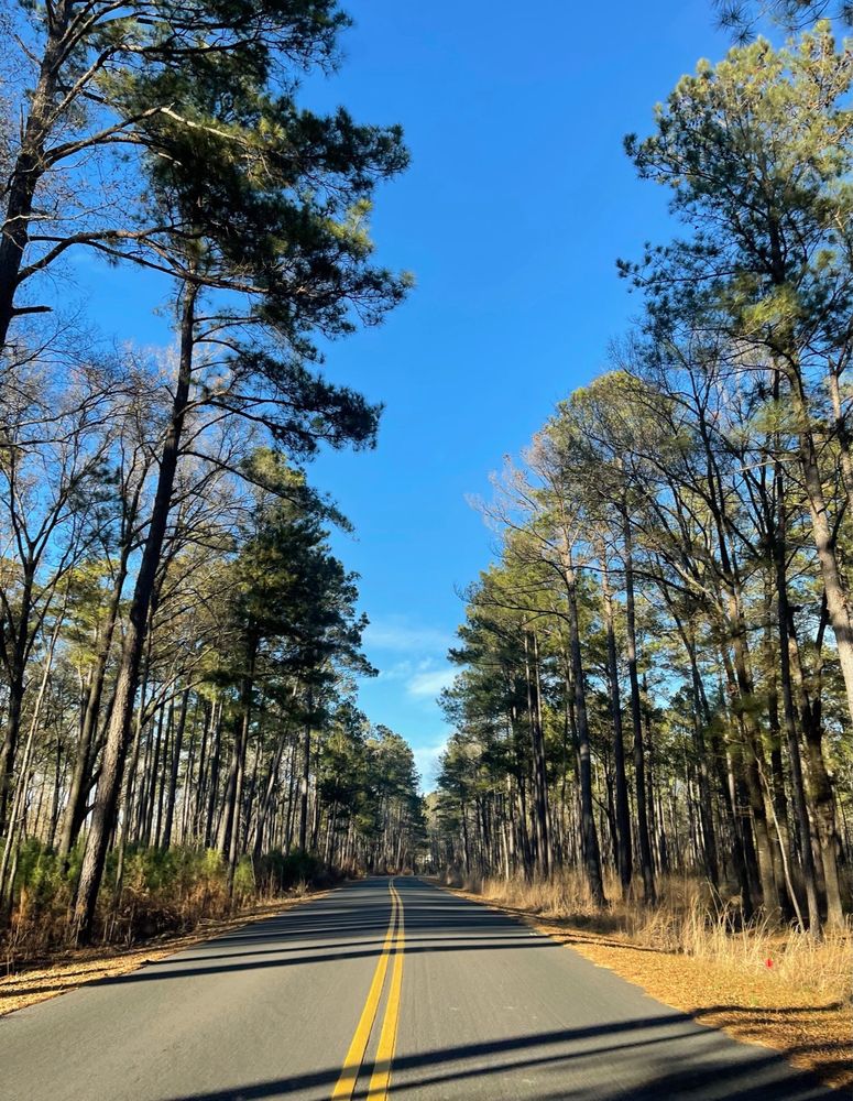 PALMETTO TRAIL Lone Star, SC Yelp