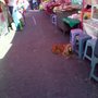 Photo of Puesto de Mariscos en Tianguis Margarita Maza