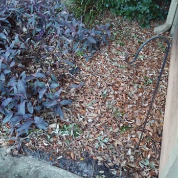 Pierpoint Apartments - More rotting leaves - Apartments Near Me - Port Orange, Florida Pierpoint Apartments - More rotting leaves - Apartments Near Me - Port Orange, Florida
