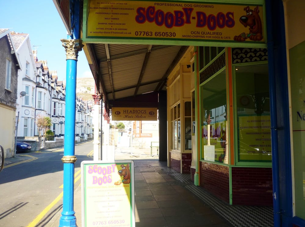 SCOOBY DOOS 1 Bodhyfryd Road, Llandudno, Conwy, United Kingdom Pet