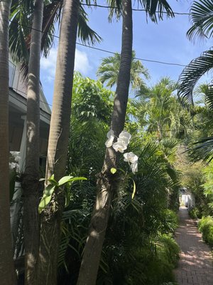 Simonton Court Hotel Key West by null