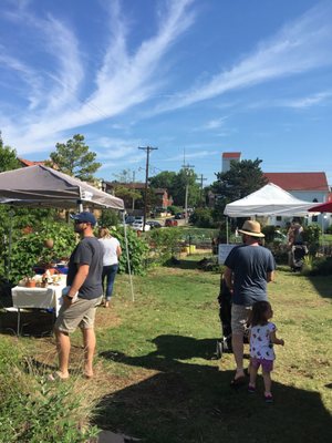 Paseo Farmers Market by null