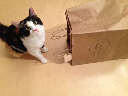 Standard Fare by null