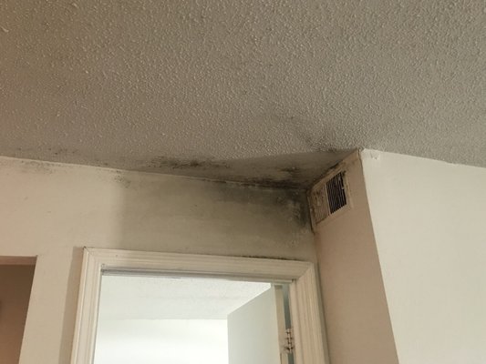 Canyon Creek Apartments Kcmo