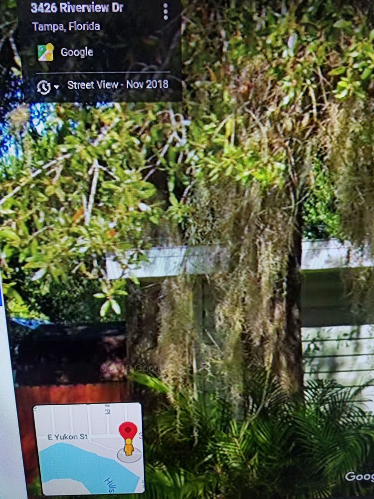 Slide of Roofing Solutions of Tampa