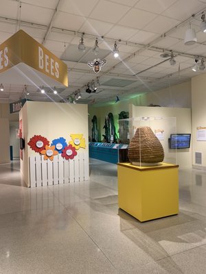 Neville Public Museum by null