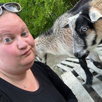 Bel Laurel Farm - Petting Zoos Near Me - Williamsburg, Virginia