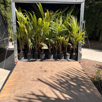 Innovative Farms - Nurseries & Gardening Near Me - Miami, Florida Innovative Farms - Nurseries & Gardening Near Me - Miami, Florida